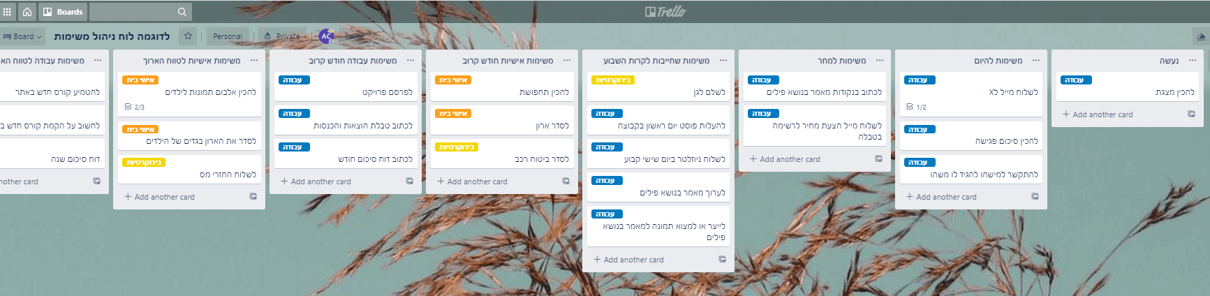 לוח משימות כללי.png
