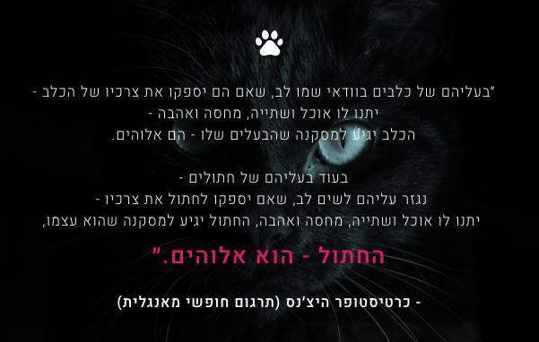 ציטוט כלבים חולים לניוזלטר.jpg