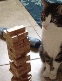 Jenga cat.gif