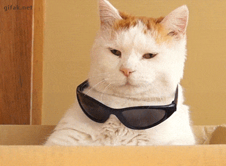 boss.gif