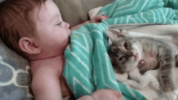 giphy-downsized-2.gif