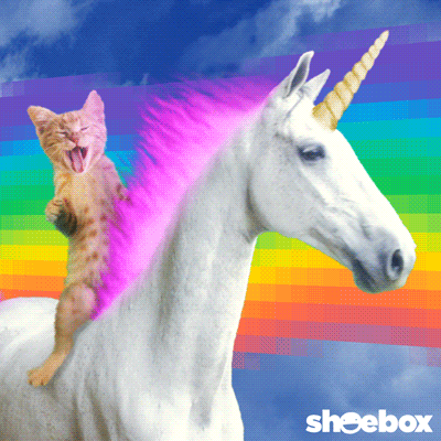 image11.gif