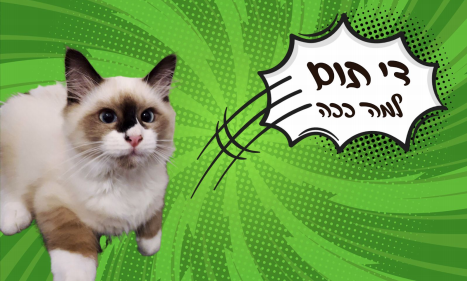 image3.png