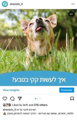 instagram-post-2.jpg