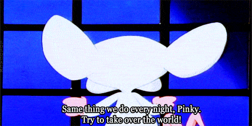 pinky and the brain.jpeg