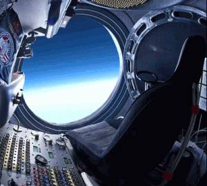 cat in space
