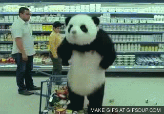 angry panda