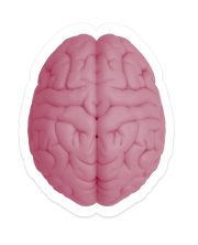 שיעור יצירתיות בעבודה ליאור פרנקל